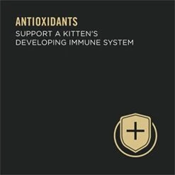 Purina Pro Plan Grain Free Pate Wet Kitten Food, Chicken Entree - (24) 3 Oz. Pull-Top Cans -Purritos Shop 31Ay2uXxsmL