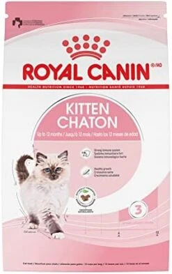Royal Canin Feline Health Nutrition Kitten Dry Cat Food, 14 Lb Bag -Purritos Shop 41 7UpBeSnL. AC