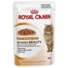 Royal Canin Intense Beauty In Jelly Cat Food 12 X 85g -Purritos Shop 414lwvok00L