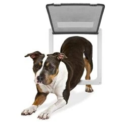 GENERIC Door Small Cat Gate Door Dog Door 4 Way Lockable Cat Kitten Door Security Flap Door Abs Plastic 1Pcs 25X23.5X5.3Cm -Purritos Shop 41DnWFi7MvL