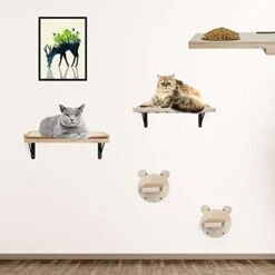 A.FATI Cat Wall Shelf, Wooden Cat Feeding Shelf With 2 Raised Bowls, 15° Tilted Feeding Position, Cat Shelves And Perches For Eating, Playing, Sleeping & Lounging -Purritos Shop 41ET4UPU9pL. AC
