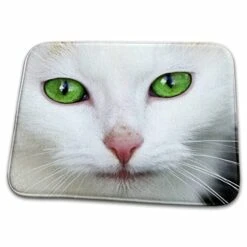 3dRose RinaPiro - Cats - Kitty White, Cat, Pet, Animal - Dish Drying Mats (ddm-215165-1)