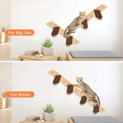 Cat Wall Shelves, Cat Feeding Shelf With Steps- Include Cat Food Shelf, 2 Cat Food Bowl And Cat Ladder, Wall Mounted Cat Feeder Shelf, Cat Furniture Wall For Indoor Playtime And Relaxation -Purritos Shop 41HE7TwXcQL