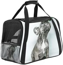 Pet Carrier Cute Sushi Japanese Food Soft-Sided Pet Travel Carriers For Cats,Dogs Puppy Comfort Portable Foldable Pet Bag Airline Approved 24 Pet Carrier Cute Sushi Japanese Food Soft-Sided Pet Travel Carriers For Cats,Dogs Puppy Comfort Portable Foldable Pet Bag Airline Approved -Purritos Shop 41INcka2EOS. AC