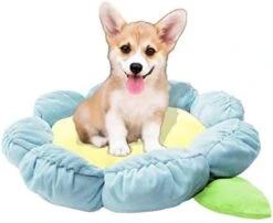 TONBO Soft Plush Small Cute And Cozy Food Dog Cat Bed, Washer And Dryer Friendly (Burger) -Purritos Shop 41JemnD2Y7L. AC
