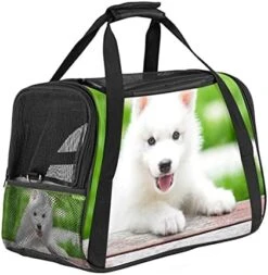 Pet Carrier Cute Cartoon Rolls And Sushi In Kawaii Japanese Food Soft-Sided Pet Travel Carriers For Cats,Dogs Puppy Comfort Portable Foldable Pet Bag Airline Approved -Purritos Shop 41Lu1QcByWS. AC