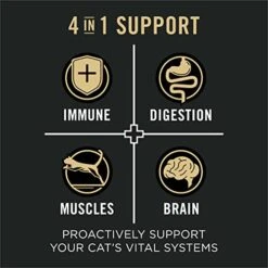 Purina Pro Plan Vital Systems Salmon And Egg Formula 4-in-1 Adult Dry Cat Food - 3 Lb. Bag 11 Purina Pro Plan Vital Systems Salmon And Egg Formula 4-in-1 Adult Dry Cat Food - 3 Lb. Bag -Purritos Shop 41OJHDkCErL