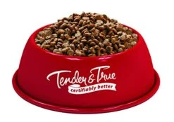 Tender & True Salmon & Sweet Potato Recipe Cat Food, 3lb -Purritos Shop 41VKZNIC6iL