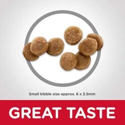 Hill's Science Diet Dry Cat Food, Kitten, Chicken Recipe, 7 Lb. Bag 9 Hill's Science Diet Dry Cat Food, Kitten, Chicken Recipe, 7 Lb. Bag -Purritos Shop 41Xza50ZfkL