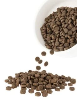 Harlow Blend Healthy Pet All Life Stages Dog Formula, Grain, And GMO Free - 7 Lb Fish Fusion, Other Available Formulas (Lamb & Rice, Chicken, Rice & Vegetable, Fish Fusion) -Purritos Shop 41gWGQANWyL