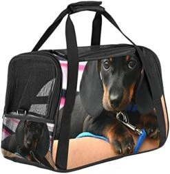 Pet Carrier Cute Sushi Japanese Food Soft-Sided Pet Travel Carriers For Cats,Dogs Puppy Comfort Portable Foldable Pet Bag Airline Approved 29 Pet Carrier Cute Sushi Japanese Food Soft-Sided Pet Travel Carriers For Cats,Dogs Puppy Comfort Portable Foldable Pet Bag Airline Approved -Purritos Shop 41jzoskLIgS. AC