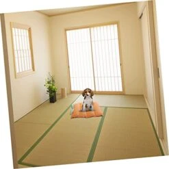 Balacoo Mat Warm Decorative Puppy Crate Soft Household Mattress Cave Pets Sleeping Pad Dogs Pumpkin Nest Mats House Thermal For Warming Creative Cushion Cat Bed Warmth Pet Small Home And -Purritos Shop 41pTz4iWSmL