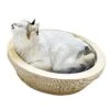 Fhony Cat Scratching Column Relaxing Bed Cat Scratching Board With Catnip Durable Recycled Board Cushion Ball Toy Bell High-Density Recycled Corrugated Cat Scratcher Cat Toy Bowl,Large -Purritos Shop 41sCaoA0XFL