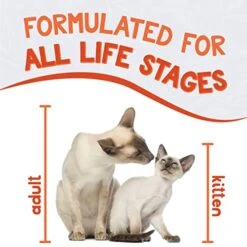 Earthborn Holisitc Catalina Catch Grain-Free Moist Cat Food -Purritos Shop 41tg5HBbrhL