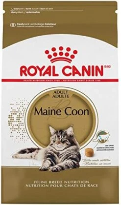Royal Canin Maine Coon Breed Adult Dry Cat Food, 6 Lb Bag -Purritos Shop 41yI 7ms4zL. AC