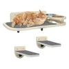 Cat Wall Shelves With 2 Steps,Cat Wall Mounted Shelves And Perches Set,Cat Wall Furniture With 2 Cat Bowls For Indoor Cats,Cat Climbing Shelf Hammock With Climbing Shelf Perches Plush Covered -Purritos Shop 41yNmI9FixL