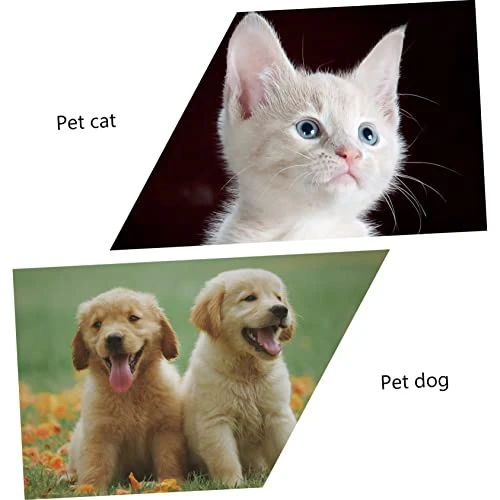 VILLCASE Funny Cat Toy Toys For Dogs Small Cat Toys Kitten Toys Interactive Cat Ferris Wheel Cat Food Dispenser Pet Windmill Toy Pet Feeding Toy Pet Food Dispenser Cat Feeding Toy 5 VILLCASE Funny Cat Toy Toys For Dogs Small Cat Toys Kitten Toys Interactive Cat Ferris Wheel Cat Food Dispenser Pet Windmill Toy Pet Feeding Toy Pet Food Dispenser Cat Feeding Toy - Image 3