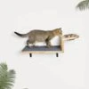 A.FATI Cat Wall Shelf, Wooden Cat Feeding Shelf With 2 Raised Bowls, 15° Tilted Feeding Position, Cat Shelves And Perches For Eating, Playing, Sleeping & Lounging -Purritos Shop 41zys2KmjkL