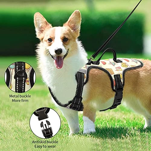 Flradish Summer Food Adjustable Pet Carrier With Handle Cat Carrier And Leash Anti-Escape Suitable For Outdoor Walking 5 Flradish Summer Food Adjustable Pet Carrier With Handle Cat Carrier And Leash Anti-Escape Suitable For Outdoor Walking - Image 3