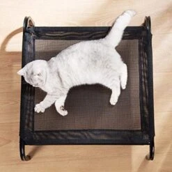 Yliping Cat Dog Ice Pad Summer Cat Litter Mat Water Bed Dog Mat Cooling Summer Waterproof (Size : A(S)) -Purritos Shop 51JxznaokeL. AC