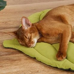 Leaf Shape Cat Mat Sleeping Soft Dog Cat Bed Mat Autumn And Winter Bite Resistant Pet Cage Mat Cats Kennel Pad 7 Leaf Shape Cat Mat Sleeping Soft Dog Cat Bed Mat Autumn And Winter Bite Resistant Pet Cage Mat Cats Kennel Pad -Purritos Shop 51K18vbTloL