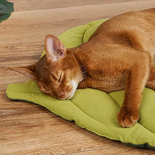 Leaf Shape Cat Mat Sleeping Soft Dog Cat Bed Mat Autumn And Winter Bite Resistant Pet Cage Mat Cats Kennel Pad 5 Leaf Shape Cat Mat Sleeping Soft Dog Cat Bed Mat Autumn And Winter Bite Resistant Pet Cage Mat Cats Kennel Pad - Image 3