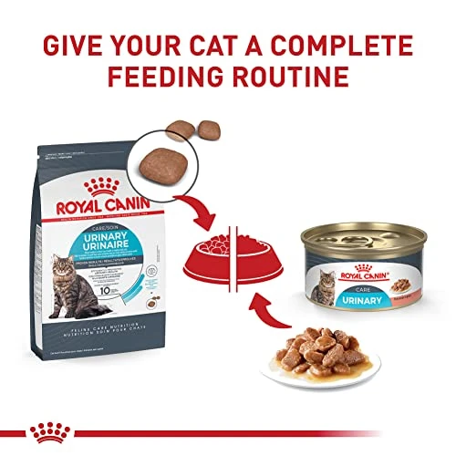 Royal Canin Feline Care Nutrition Urinary Care Adult Dry Cat Food, 6 Lb Bag 7 Royal Canin Feline Care Nutrition Urinary Care Adult Dry Cat Food, 6 Lb Bag - Image 5