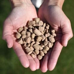 Steve's Real Food Quest Super Premium Freeze Dried Raw Cat Food, 10 Ounce -Purritos Shop 51XTNzPlm7L