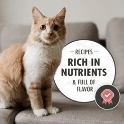 NUTRO WHOLESOME ESSENTIALS Adult Natural Dry Cat Food Salmon & Brown Rice Recipe, 14 Lb. Bag -Purritos Shop 51XjxH39boL