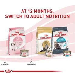 Royal Canin Feline Health Nutrition Kitten Dry Cat Food, 14 Lb Bag -Purritos Shop 51agL6gtHDL