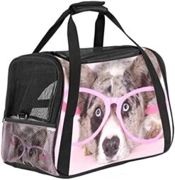 Pet Carrier Tasty Food Soft-Sided Pet Travel Carriers For Cats,Dogs Puppy Comfort Portable Foldable Pet Bag Airline Approved -Purritos Shop 51axqE5eNS. AC