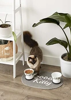 Bone Dry DII Braided Pet Mat Collection 100% Cotton, Oval Shape, Gray Good Kitty -Purritos Shop 51ef3i0OPNL