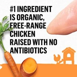 Beyond Purina Organic Pate Wet Cat Food Variety Pack, Organic Chicken Adult Recipes 11 Beyond Purina Organic Pate Wet Cat Food Variety Pack, Organic Chicken Adult Recipes -Purritos Shop 51gdkjT4ZwL