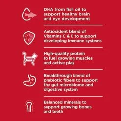 Hill's Science Diet Dry Cat Food, Kitten, Chicken Recipe, 7 Lb. Bag 8 Hill's Science Diet Dry Cat Food, Kitten, Chicken Recipe, 7 Lb. Bag -Purritos Shop 51mS9zLiOOL