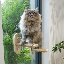 PETKARAY Cat Window Shelf, Original Cat Window Perch Hammock, Durable Cat Seat For Window Sill, Sturdy Indoor Window Stairs For Large Cats