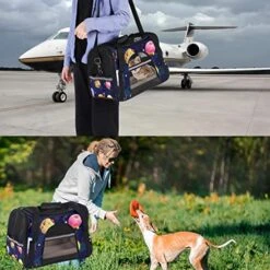Pet Carrier Funny Food Donuts Hamburger Galaxy Planets Soft-Sided Pet Travel Carriers For Cats,Dogs Puppy Comfort Portable Foldable Pet Bag Airline Approved -Purritos Shop 51qMZmZufrL