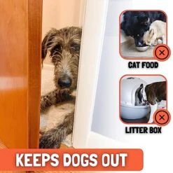 Door Buddy Door Prop For Cats - Easiest Cat Door Latch Holder To Keep Interior Door Open For Pets - Dog Proof Cat Feeding Station & Litter Box - Strong & Portable Door Stopper & Pet Gate Alternative 8 Door Buddy Door Prop For Cats - Easiest Cat Door Latch Holder To Keep Interior Door Open For Pets - Dog Proof Cat Feeding Station & Litter Box - Strong & Portable Door Stopper & Pet Gate Alternative -Purritos Shop 51qYu328kfL