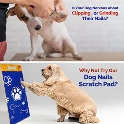 Nordic Wolf (Dog Scratch Pad For Nails, Stress Free, Sandpaper Double Sided Replaceable.Dog Scratcher For Dog Nails.Dog Nail Scratch Pad,Scratch Boards For Dogs Scratching Pad Dog Nail File. 8 Nordic Wolf (Dog Scratch Pad For Nails, Stress Free, Sandpaper Double Sided Replaceable.Dog Scratcher For Dog Nails.Dog Nail Scratch Pad,Scratch Boards For Dogs Scratching Pad Dog Nail File. -Purritos Shop 51stHzAPiDL