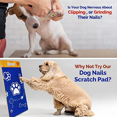 Nordic Wolf (Dog Scratch Pad For Nails, Stress Free, Sandpaper Double Sided Replaceable.Dog Scratcher For Dog Nails.Dog Nail Scratch Pad,Scratch Boards For Dogs Scratching Pad Dog Nail File. 5 Nordic Wolf (Dog Scratch Pad For Nails, Stress Free, Sandpaper Double Sided Replaceable.Dog Scratcher For Dog Nails.Dog Nail Scratch Pad,Scratch Boards For Dogs Scratching Pad Dog Nail File. - Image 3
