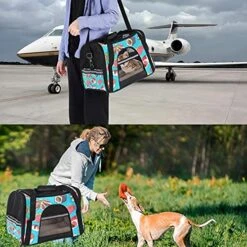Pet Carrier Japanese Cuisine Sushi Octopus Sashimi Seafoods Pattern Soft-Sided Pet Travel Carriers For Cats,Dogs Puppy Comfort Portable Foldable Pet Bag Airline Approved -Purritos Shop 51tnpby1wdS