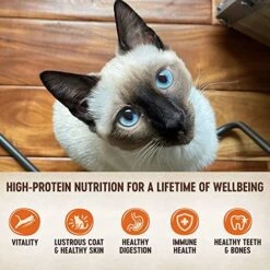 Wellness CORE Grain-Free Wet Cat Food, Natural Canned Food For Cats, Made With Real Meat (Chicken, Turkey & Chicken Liver Pate, 3 Oz Cans, Pack Of 12) -Purritos Shop 51vsu1qmumL