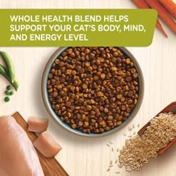 Rachael Ray Nutrish Premium Natural Dry Cat Food, Real Chicken & Brown Rice Recipe, 14 Pounds (Packaging May Vary) -Purritos Shop 51yNSxpS0yL
