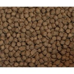 Wysong Nurture Kitten Formula Dry Kitten Food - 5 Pound Bag 11 Wysong Nurture Kitten Formula Dry Kitten Food - 5 Pound Bag -Purritos Shop 61470ypmBSL