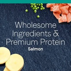 Canidae Pure Limited Ingredient Premium Dry Cat Food, Real Salmon Recipe, 10 Lbs, Grain Free -Purritos Shop 61DckIYhMLL