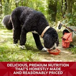 Nature's Recipe Grain Free Wet Dog Food, Chicken & Beef Recipe, 2.75 Ounce Cup (Pack Of 12) 12 Nature's Recipe Grain Free Wet Dog Food, Chicken & Beef Recipe, 2.75 Ounce Cup (Pack Of 12) -Purritos Shop 61t3IzXuN5L