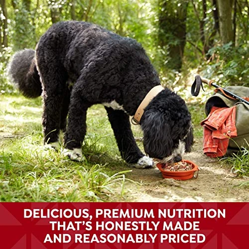 Nature's Recipe Grain Free Wet Dog Food, Chicken & Beef Recipe, 2.75 Ounce Cup (Pack Of 12) 7 Nature's Recipe Grain Free Wet Dog Food, Chicken & Beef Recipe, 2.75 Ounce Cup (Pack Of 12) - Image 5